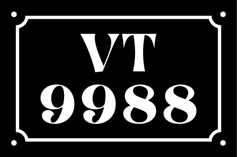 [VT 9988] Popular Plate Number for Sale
